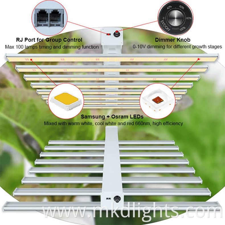 led grow lights thailand